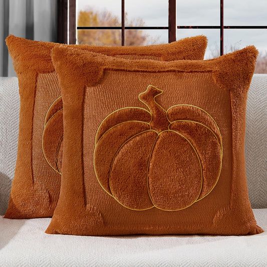 Rust Pumpkin Fall Pillow Covers 18x18 - Autumn Home Decor PT009C18
