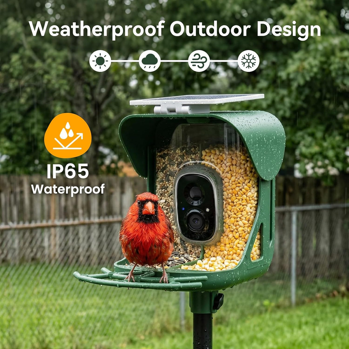 Smart Bird Feeder with Camera, 3MP UHD Bird Feeder Camera