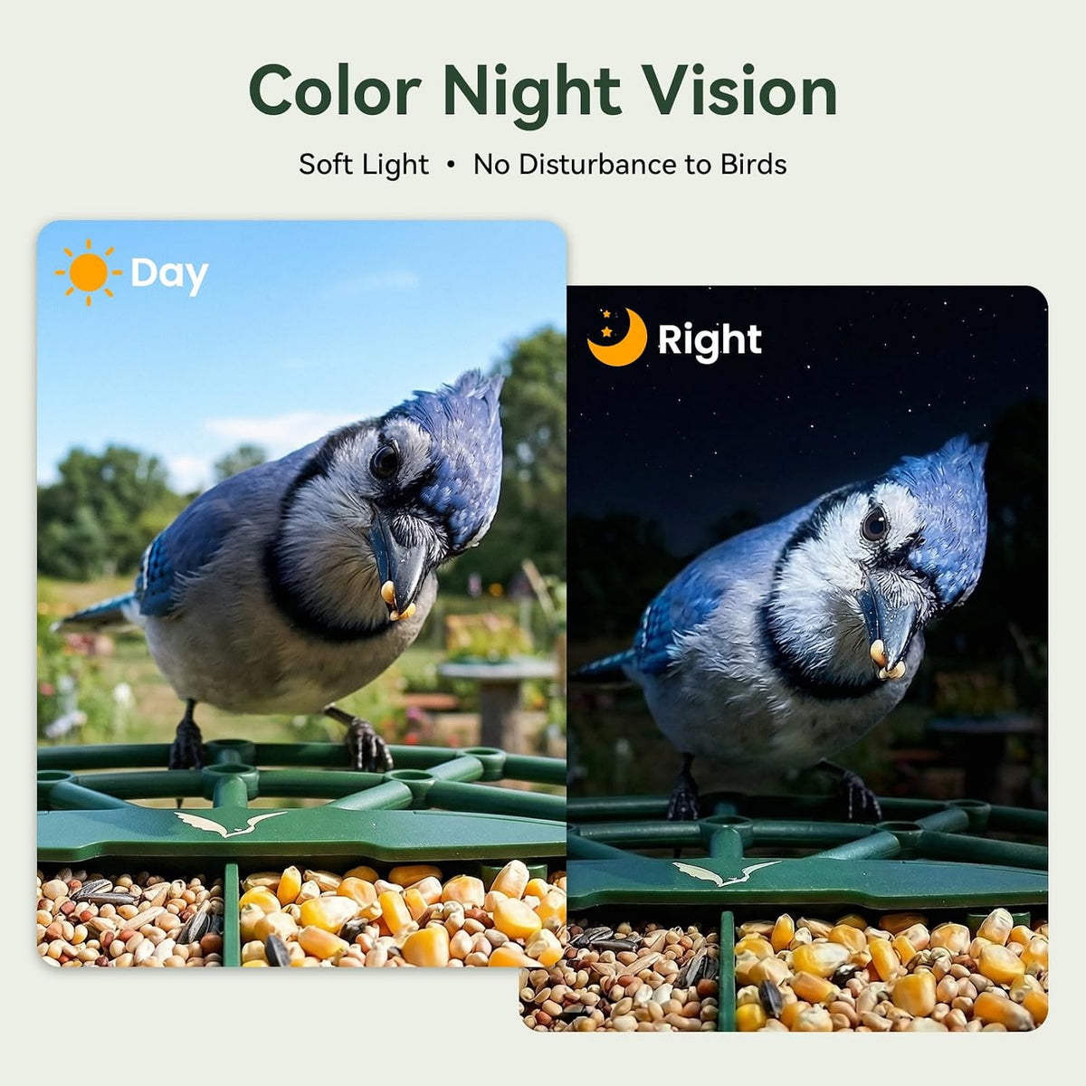 Smart Bird Feeder with Camera, 3MP UHD Bird Feeder Camera